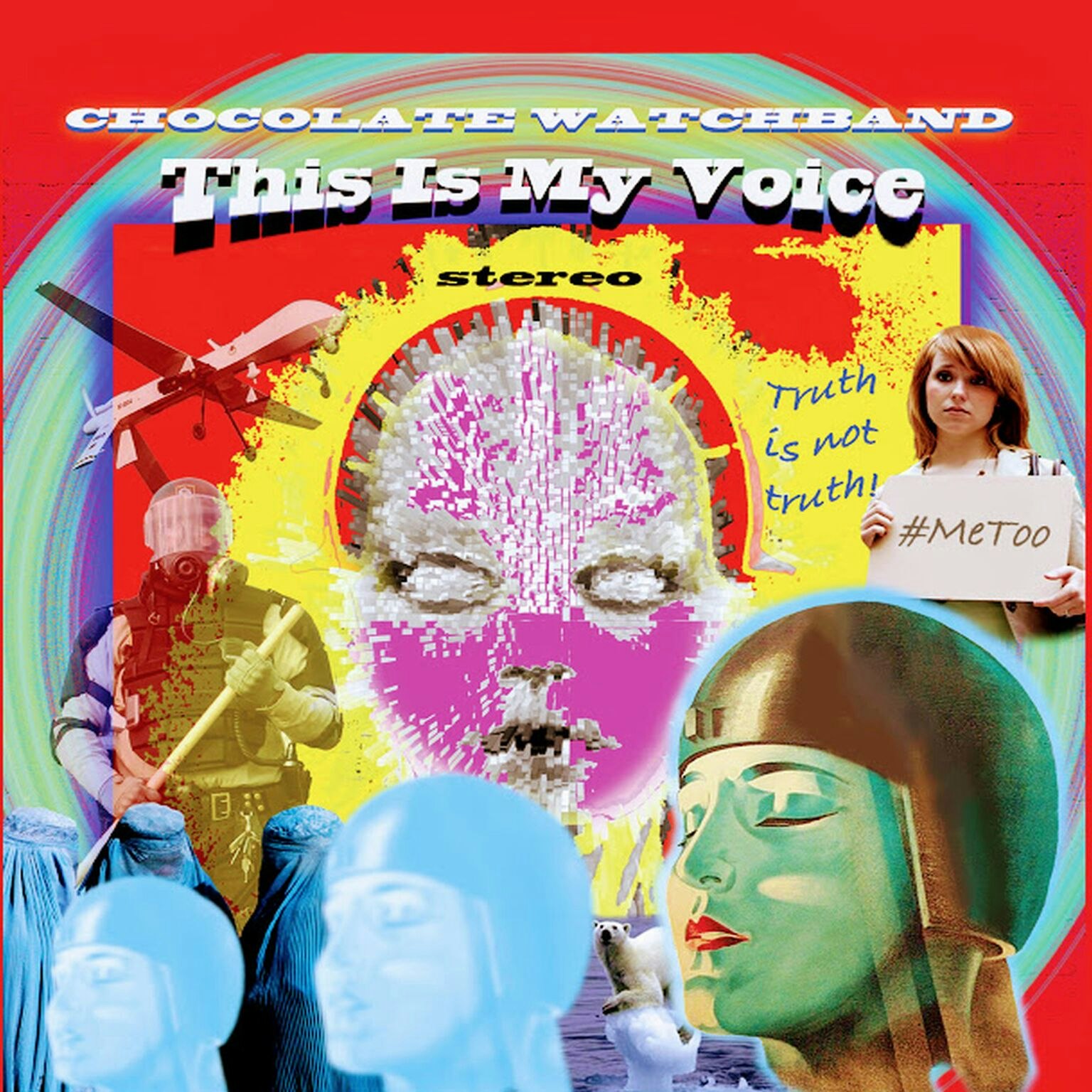 Chocolate Watchband, The - This Is My Voice | Lp