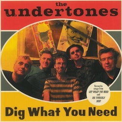 Undertones, The – Dig What You Need | Lp