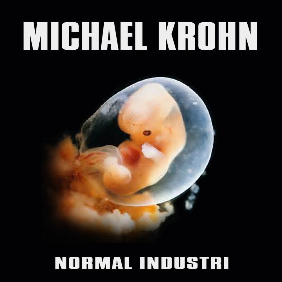 Michael Krohn - Normal industri  | Lp