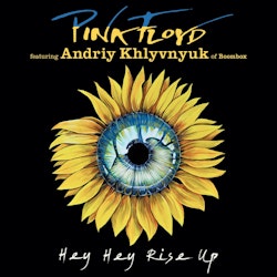 Pink Floyd - Hey Hey Rise Up | 7"