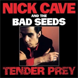 Nick Cave & The Bad Seeds ‎– Tender prey (LP)