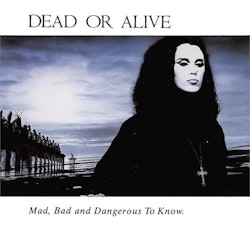 Dead Or Alive - Mad, Bad And Dangerous To Know . Lp
