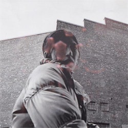 Aldous Harding - Warm Chris (LP)