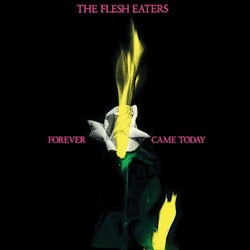 The Flesh Eaters – Forever Came Today. Lp