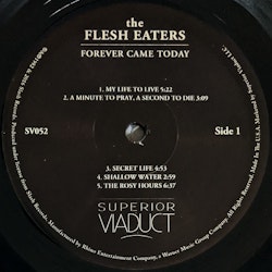 The Flesh Eaters – Forever Came Today. Lp