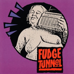 Fudge Tunnel – Fudgecake. Lp