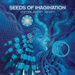 Rikam – Seeds Of Imagination. Cd