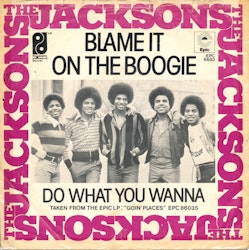 The Jacksons – Blame It On The Boogie / Do What You Wanna. 7''