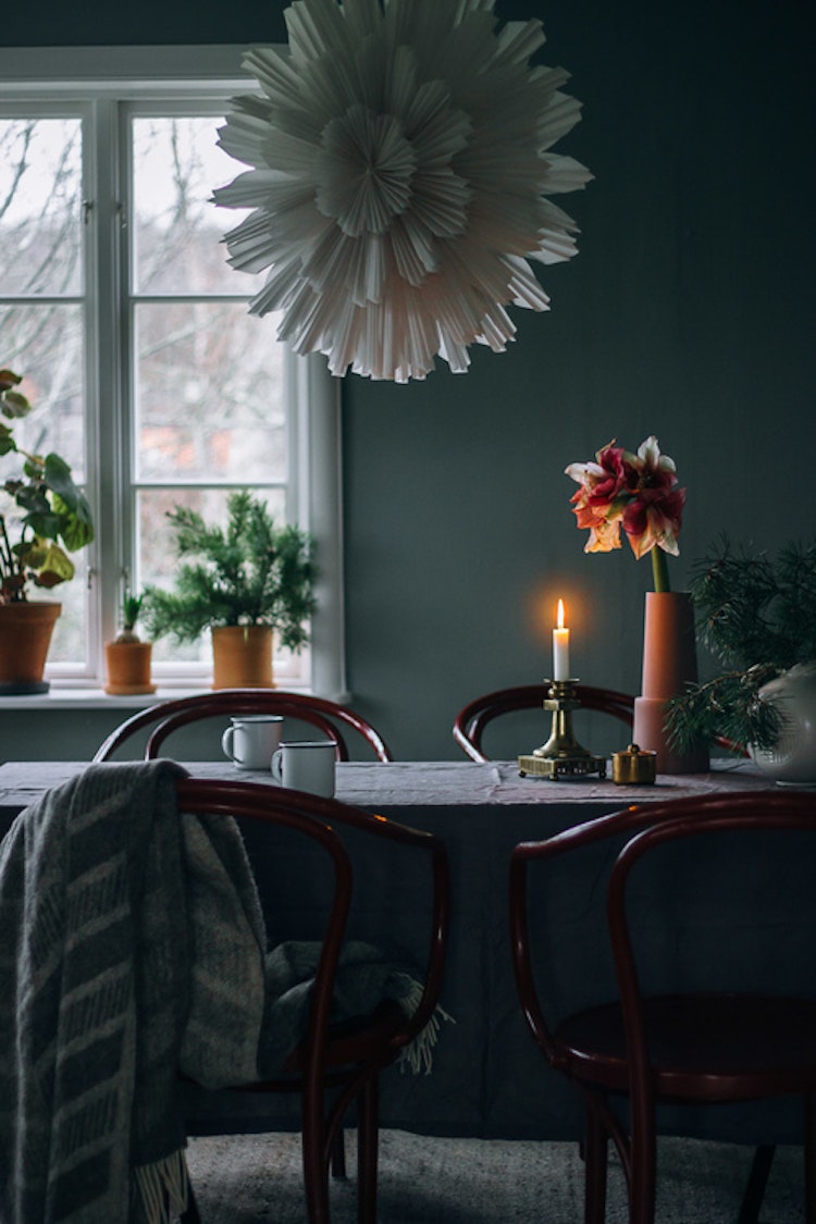 Julstjärna Snöblomma 44 cm vit