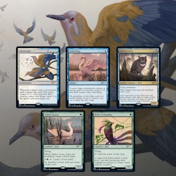 Magic the Gathering: Secret Lair Drop: Ornithological Studies