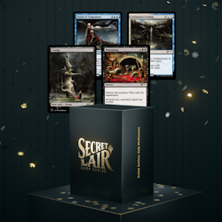 Magic the Gathering: Secret Lair Drop: Artist Series Seb McKinnon (Non-Foil)