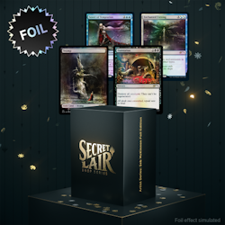 Magic the Gathering: Secret Lair Drop: Artist Series Seb McKinnon (Foil)