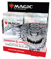 Magic the Gathering: Adventures in The Forgotten Realms Collector Booster Box