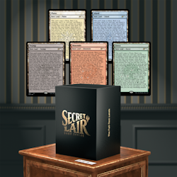 Magic the Gathering: Secret Lair Drop: The Full-Text Lands (Non-Foil)
