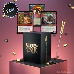 Magic the Gathering: Secret Lair Drop: Showcase Kaldheim Part 2 (Foil)