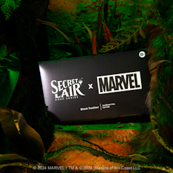 Magic the Gathering: Secret Lair x Marvel’s Black Panther (Foil)