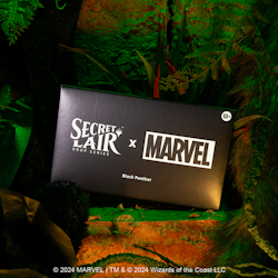 Magic the Gathering: Secret Lair x Marvel’s Black Panther (Non-Foil)