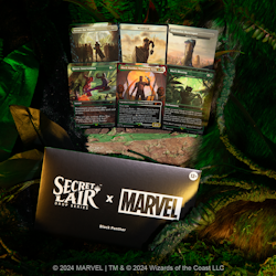Magic the Gathering: Secret Lair x Marvel’s Black Panther (Non-Foil)