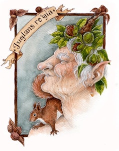 'Walnut' Original Painting
