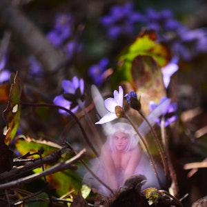 'Anemone Hepatica' Print