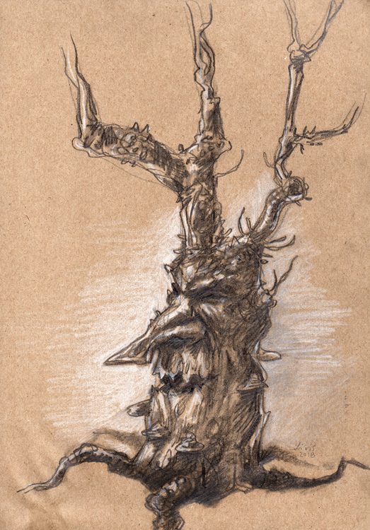 'Tree I' Original Drawing