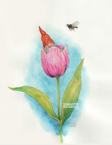 ‘Tulip Gnome' Original Illustration