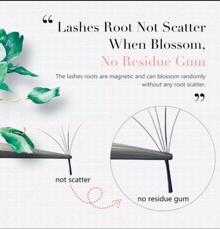 Fast funning Camelia Easy Fan C 0.07 9-11-13 mm