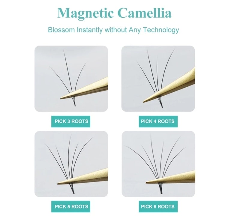 Fast funning Camelia Easy Fan C 0.07 9-11-13 mm