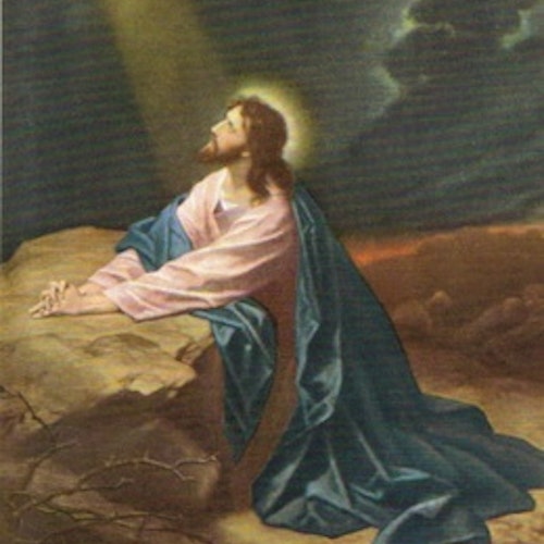 SB 017 Jesus, Större