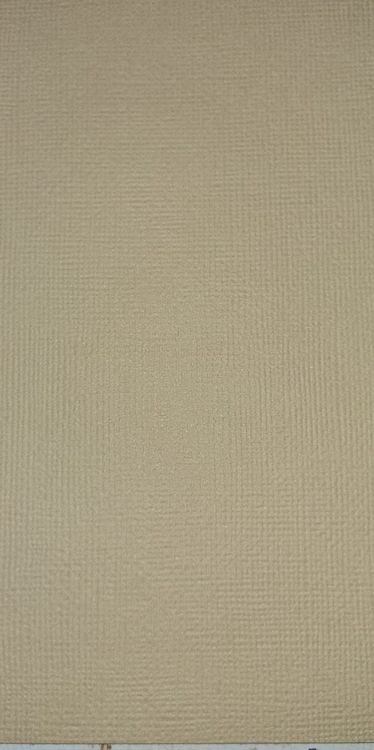 American crafts cardstock 12"x12" - Oatmeal 71562