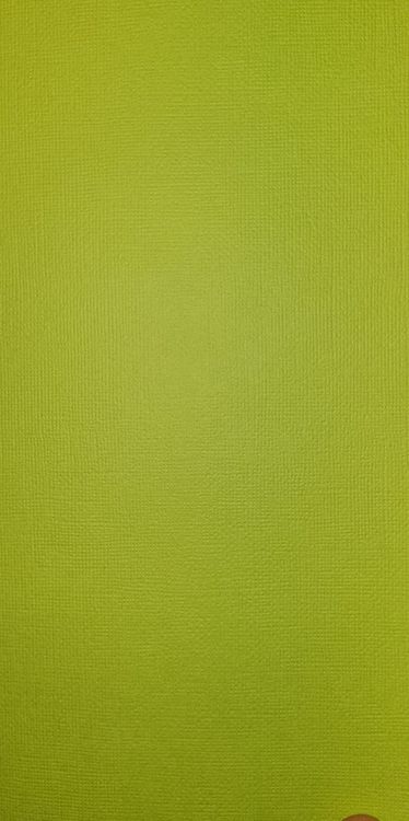 American crafts cardstock 12"x12" - Key lime 71061