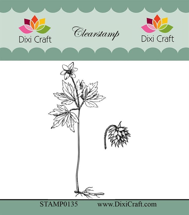 Dixi craft clearstamp - "Botanical Collection" STAMP0135