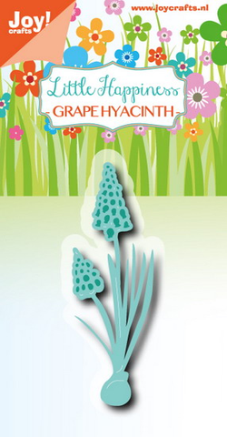 Joy! die - grape hyacinth  6003/3000