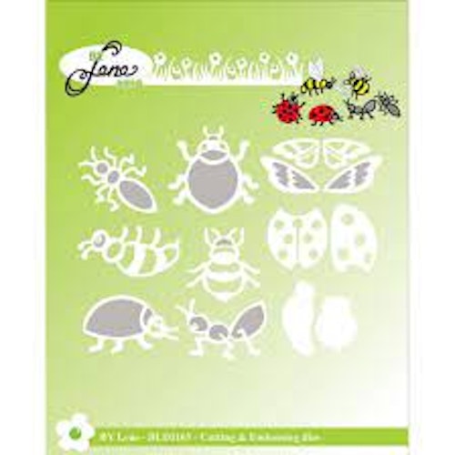 By Lene Dies - insects BLD1165