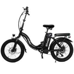 Windgoo E20 elektrisk (terräng) hopfällbar cykel