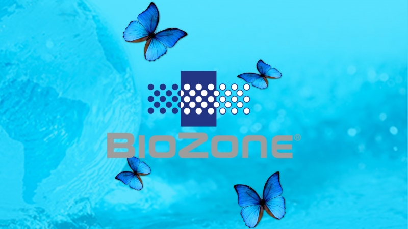 BioZone - En luftrenare utöver det vanliga?
