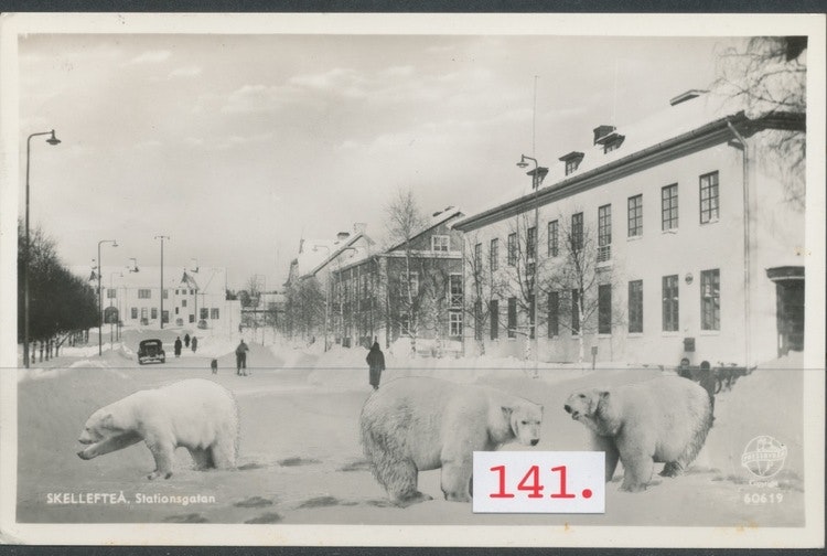 Skellefteå Isbjörnar på Stationsgatan