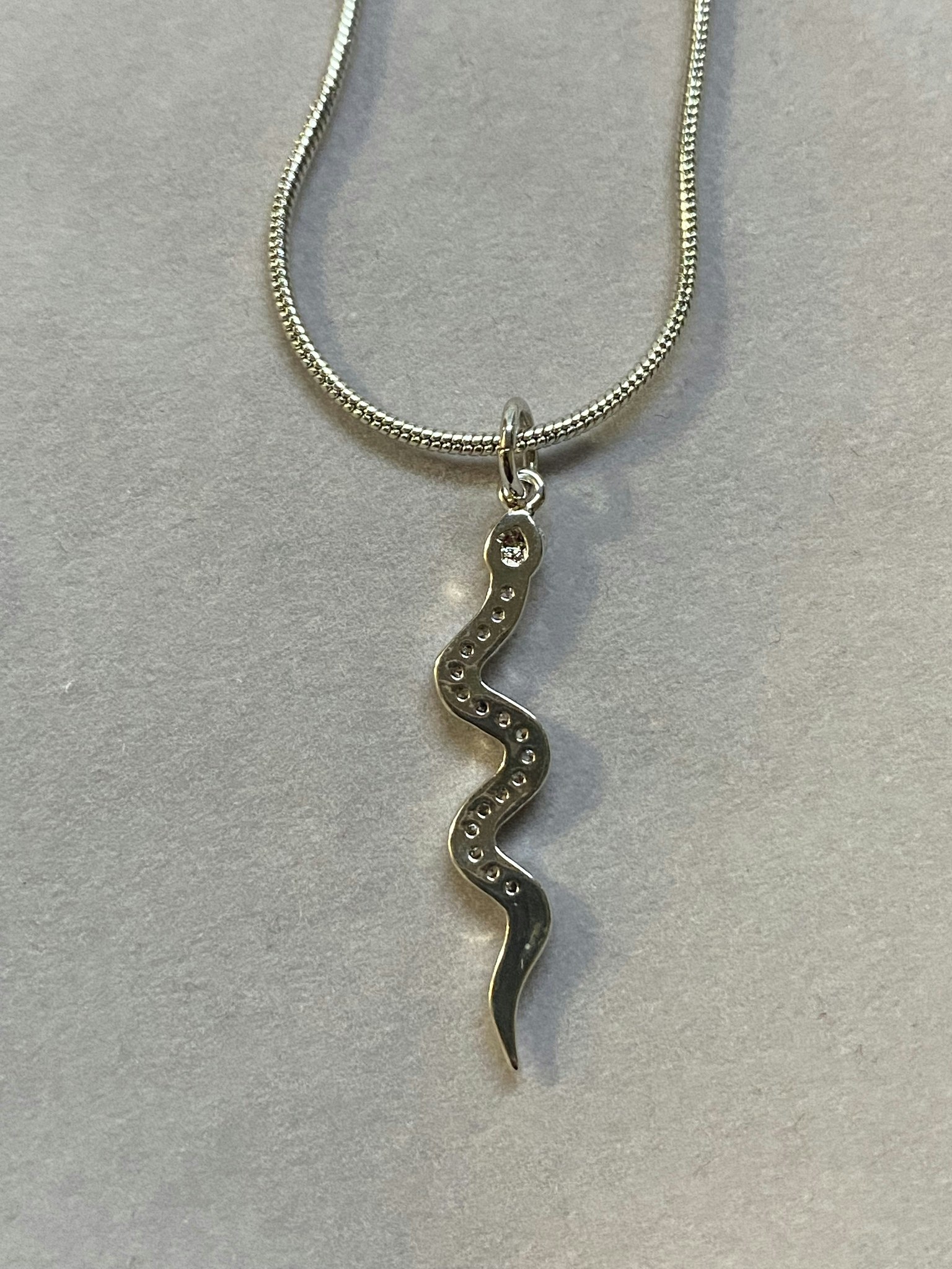 Snake charm necklace