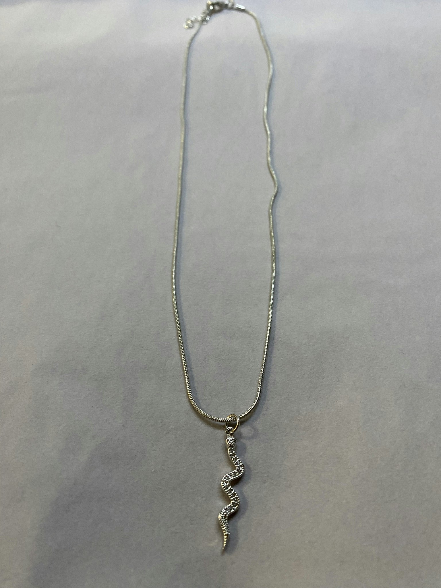Snake charm necklace