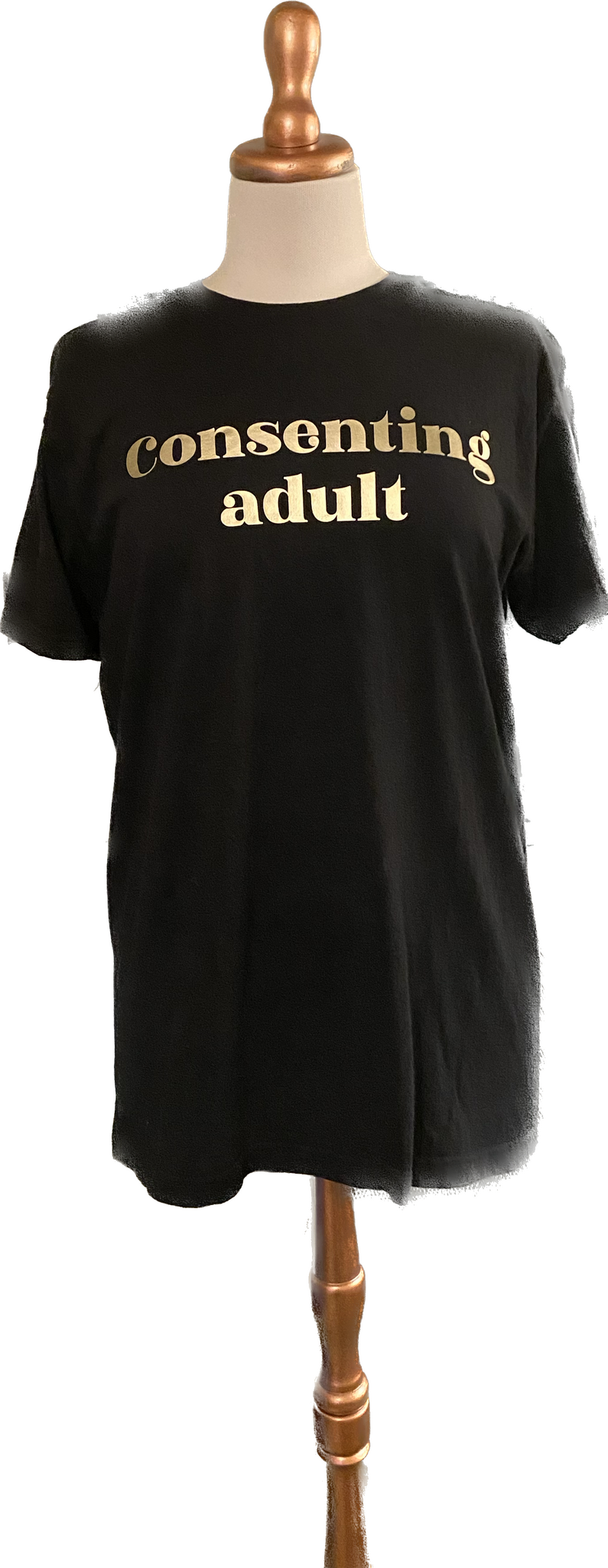 Consenting adult T-shirt