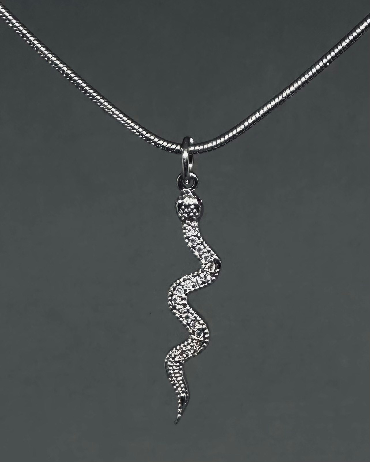 Snake charm necklace