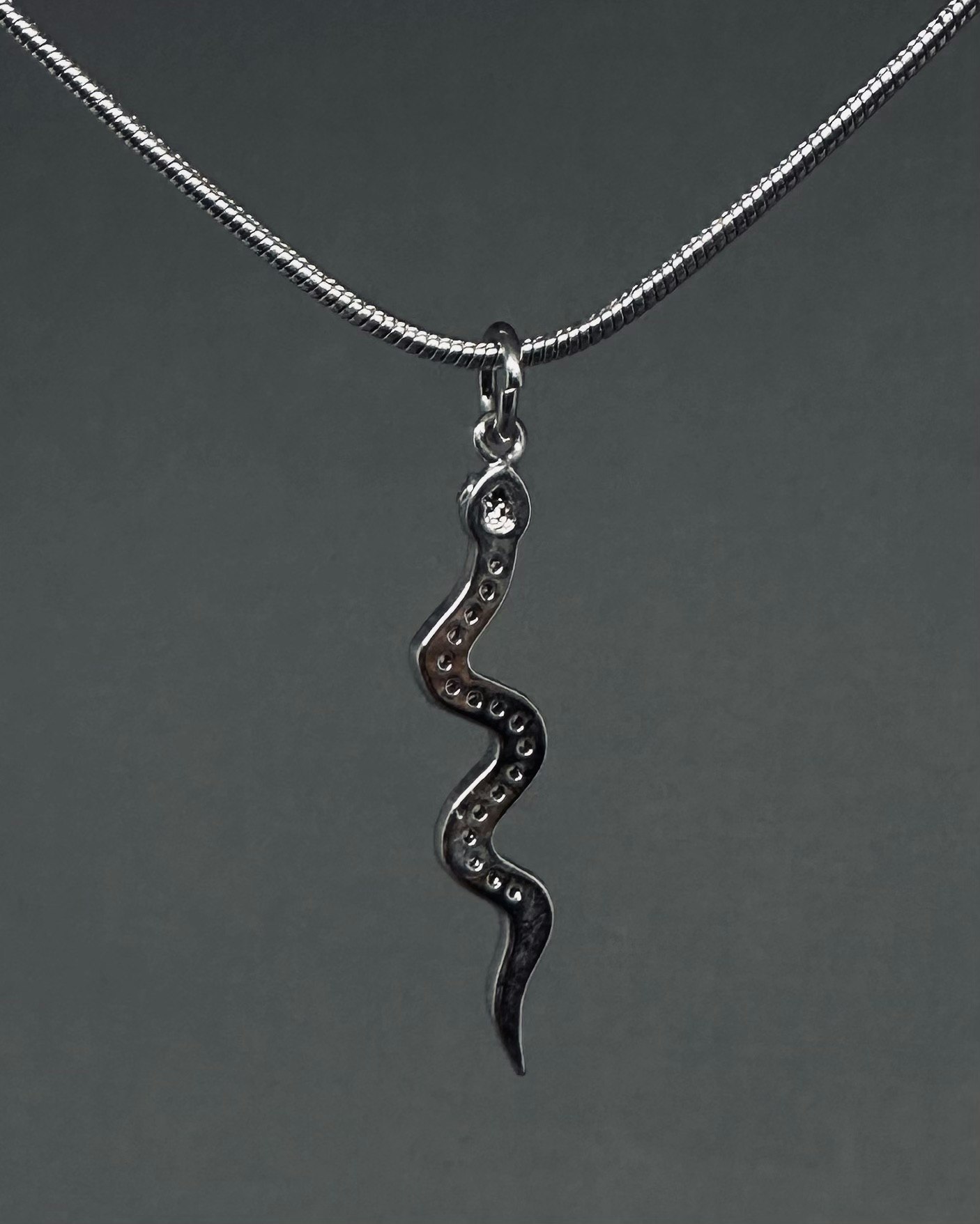 Snake charm necklace