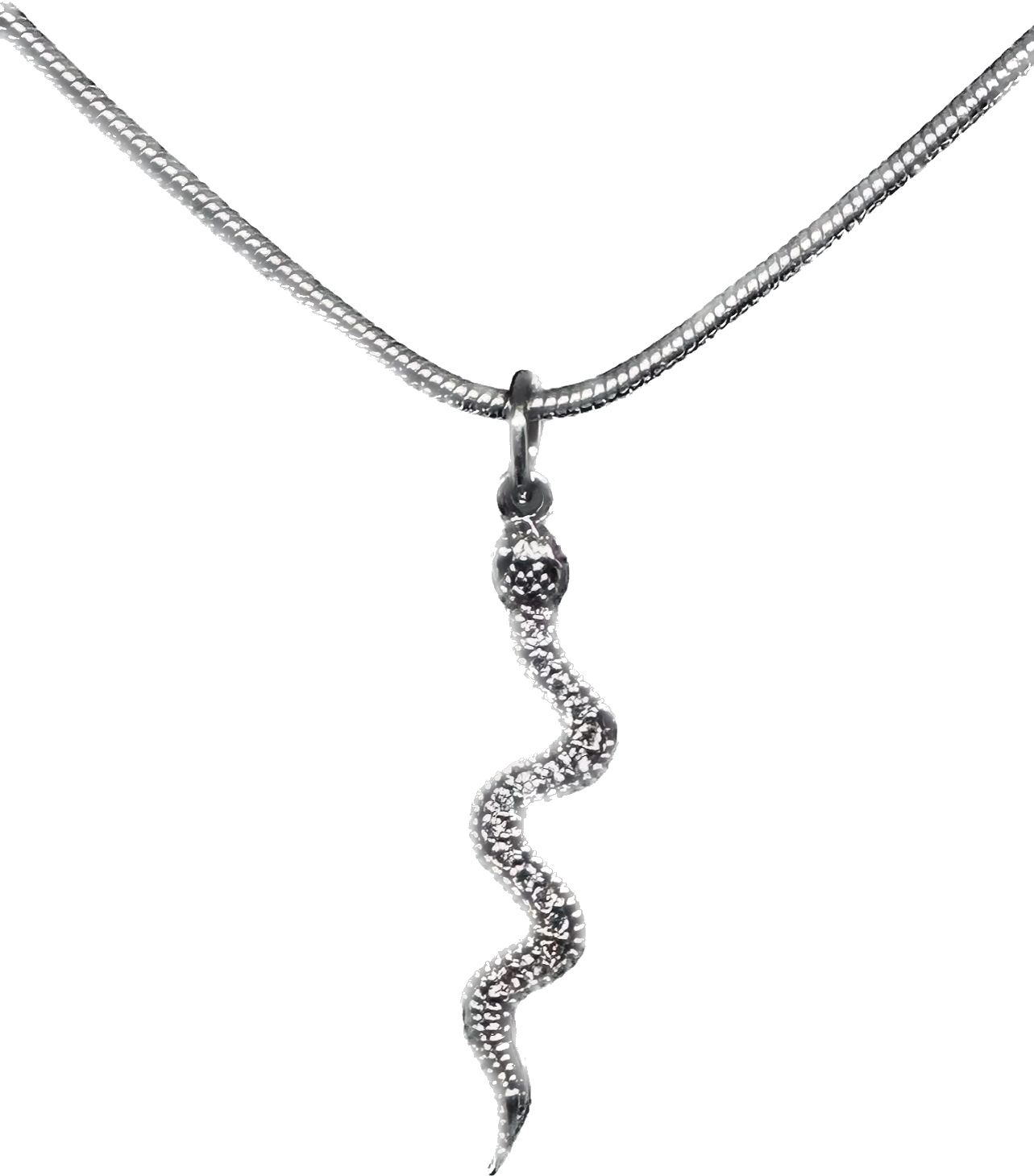 Snake charm necklace