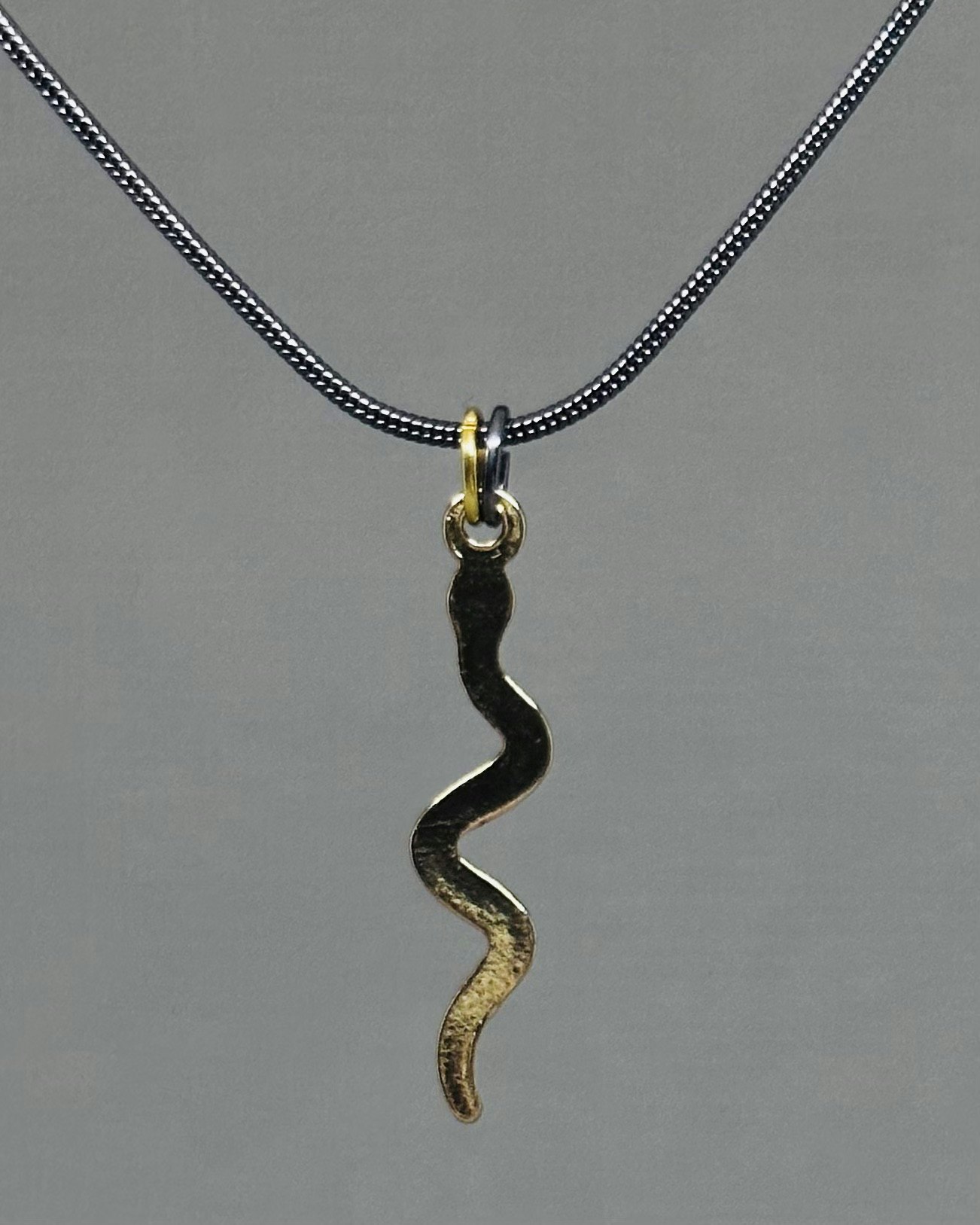 Snake charm necklace