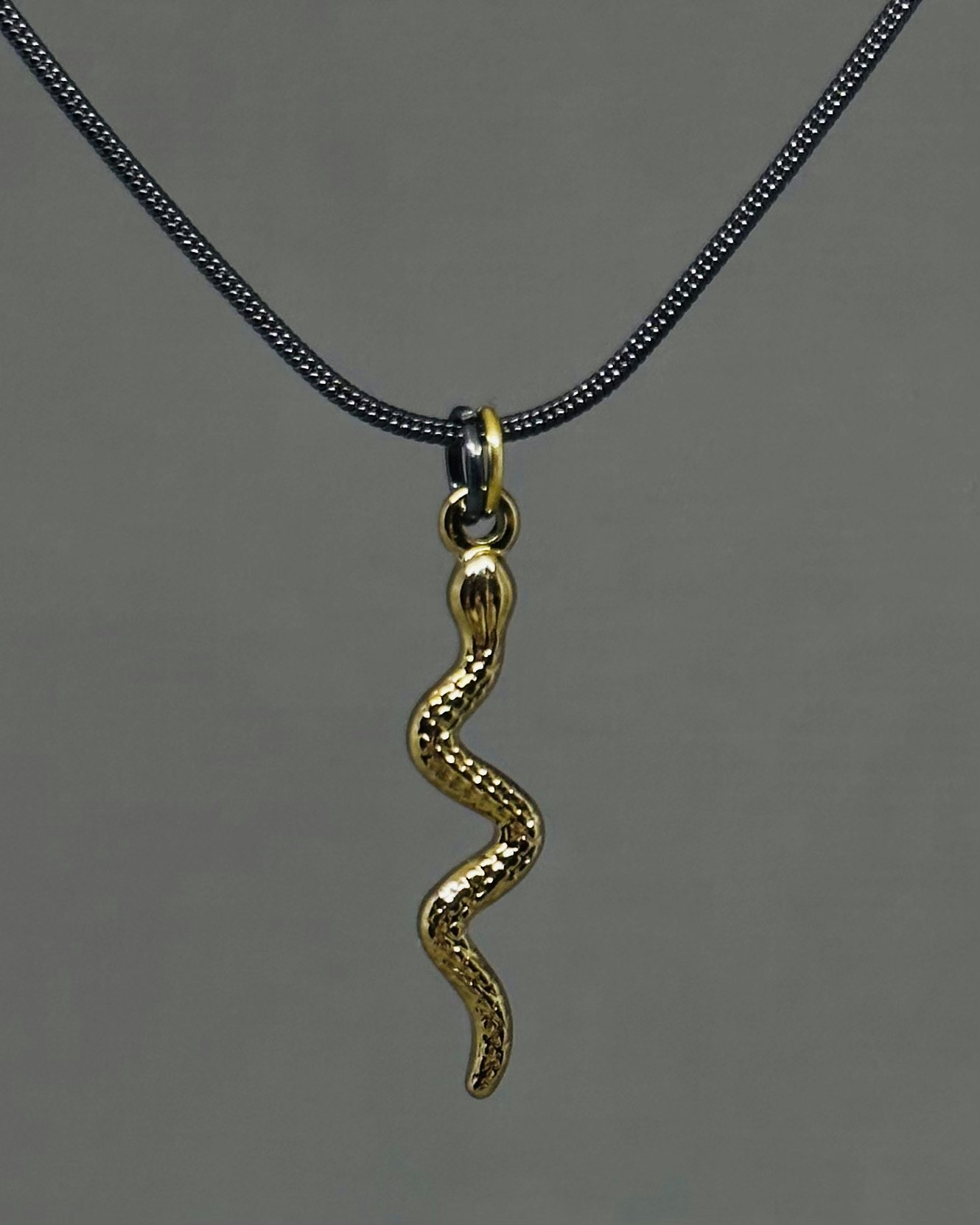 Snake charm necklace