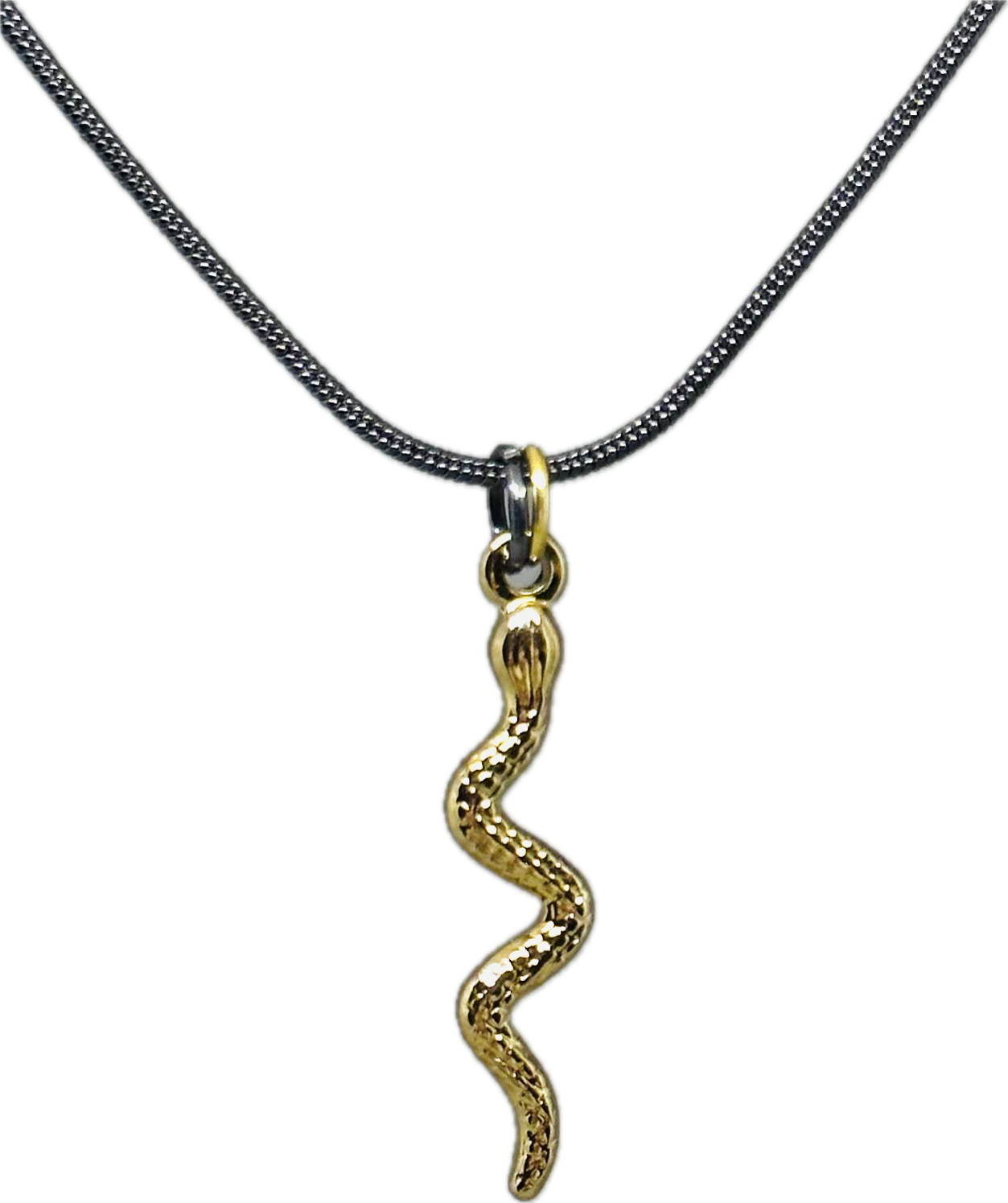 Snake charm necklace