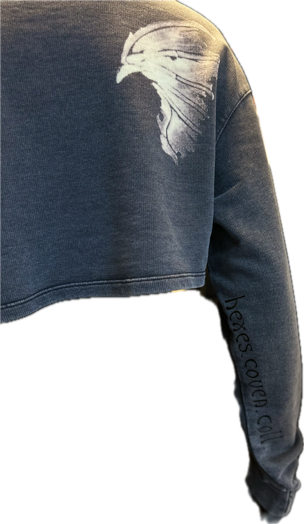 Witchy long sleeve top Cropped