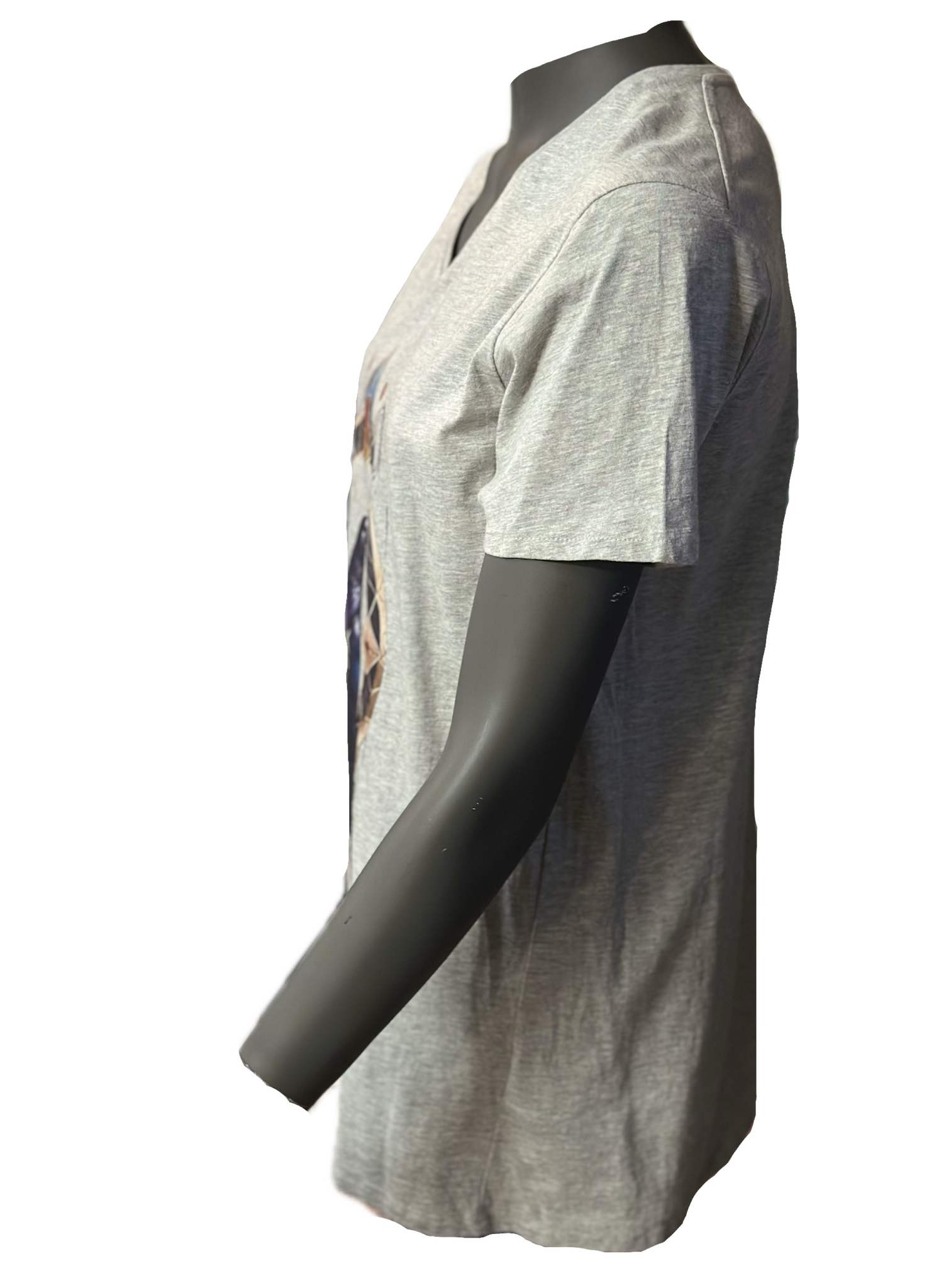 Raven T-shirt