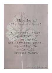 The Leaf - "Power of a Flower"