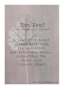 The Leaf - "Power of a Flower"